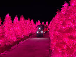 추석 연휴 국내 여행지 축제 5