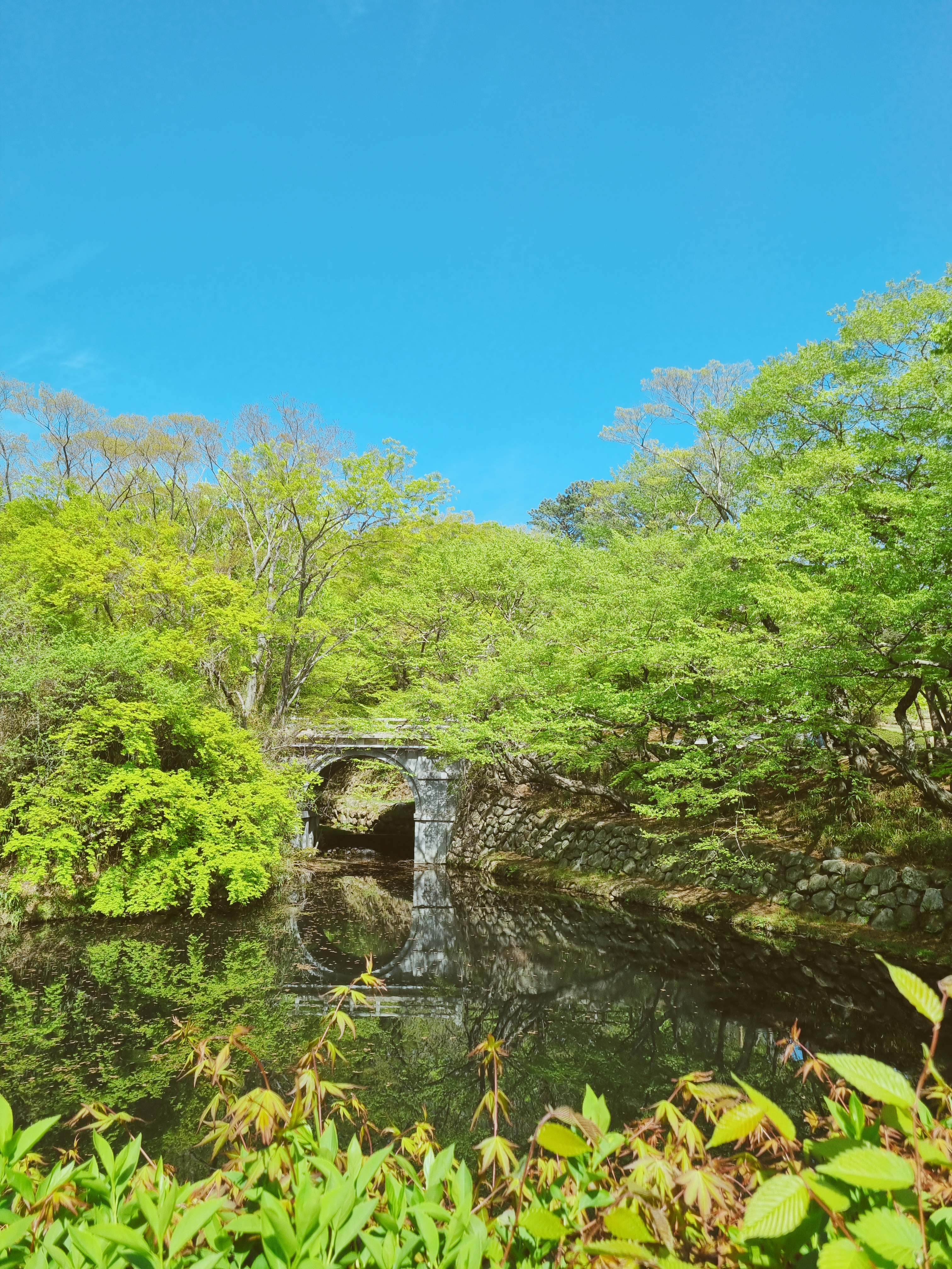경주 불국사