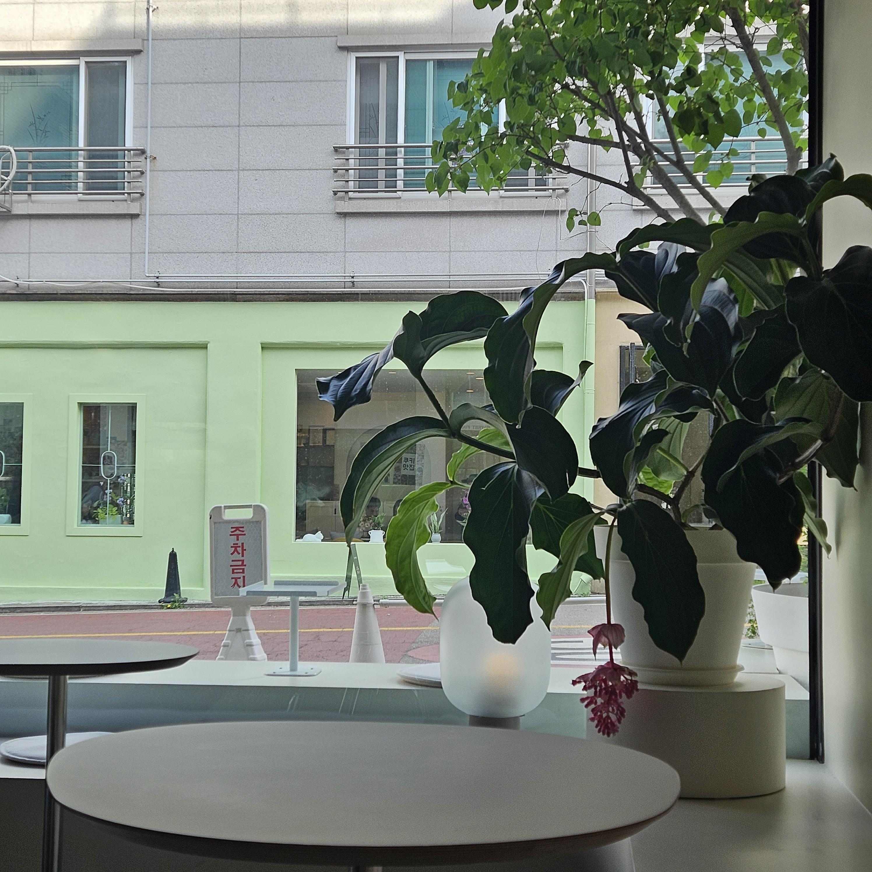 '스위트 핑거' 카페 창가 뷰