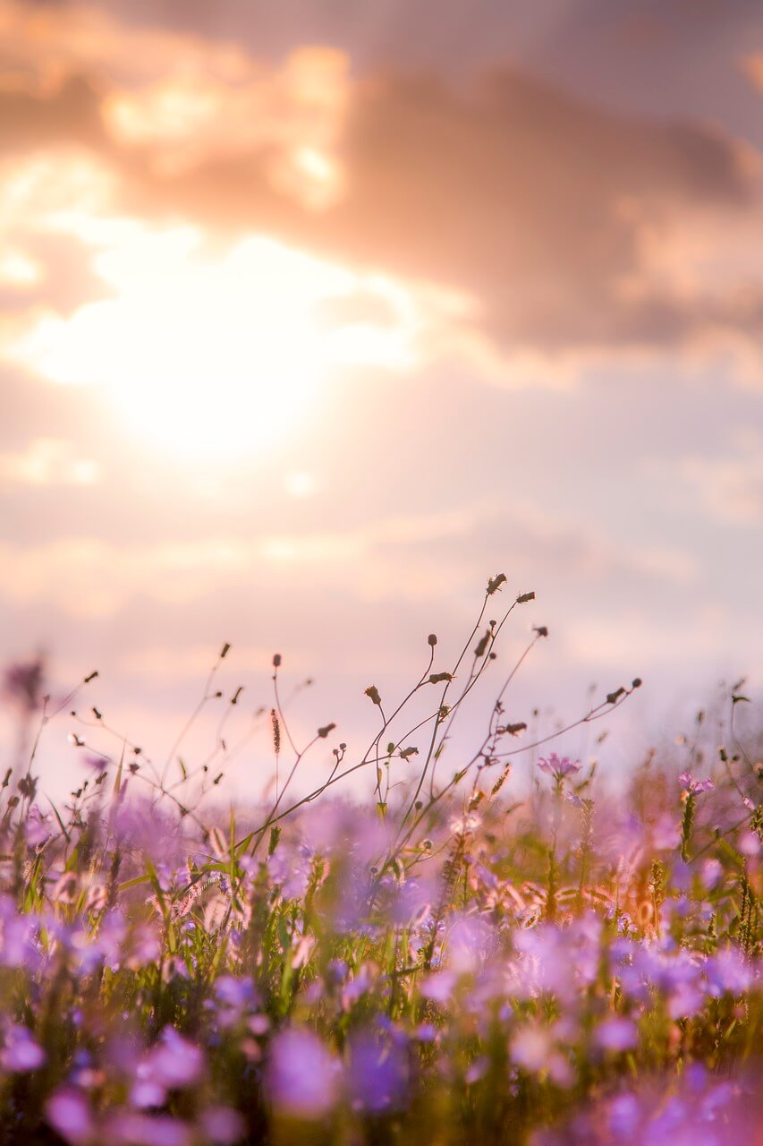 SNS 불안과 비교 심리에 대응하는 CBT 기법