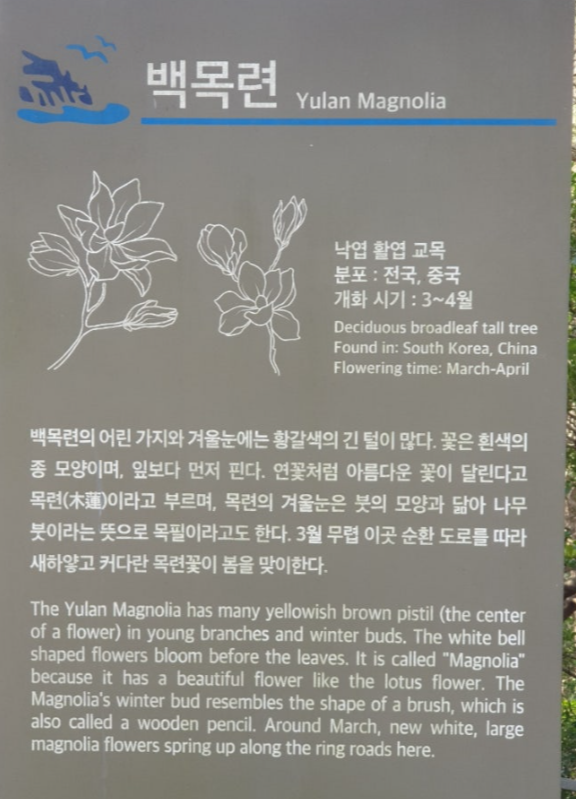 태종대