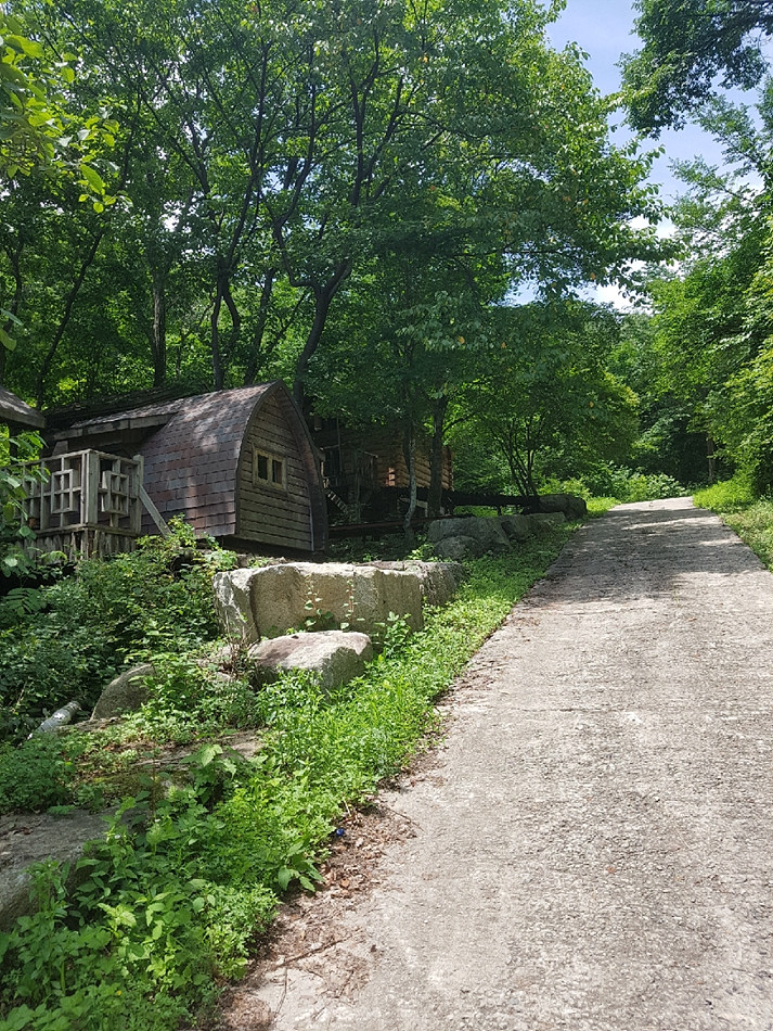 강원도 캠핑장 추천