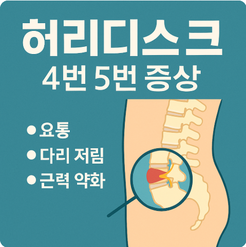 허리디스크 4번 5번 증상