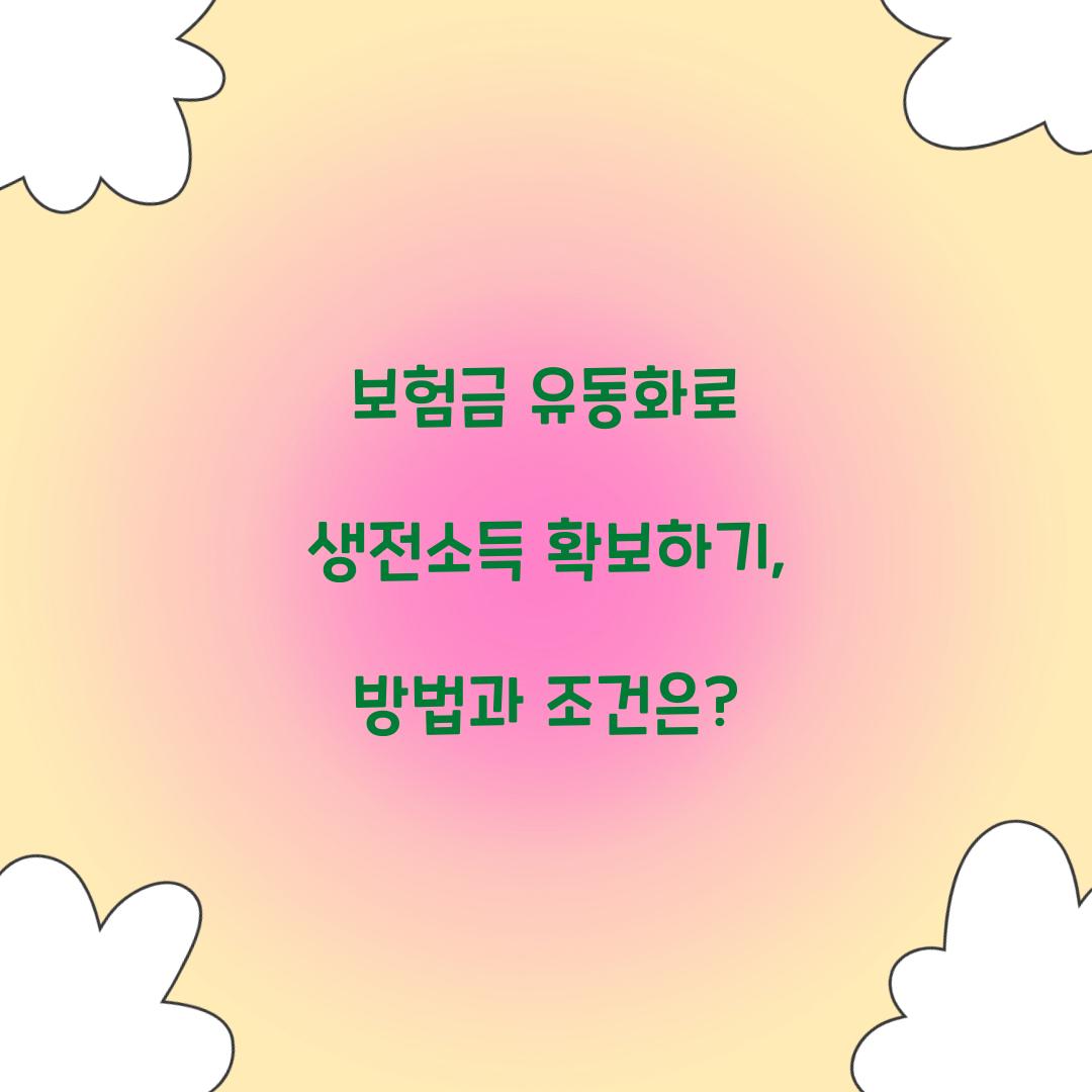 보험금 유동화