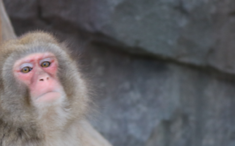 아라마루 아쿠아리움