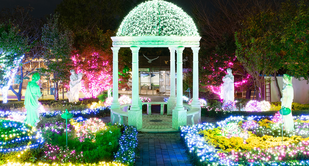 퍼스트가든 별빛축제 2025 이용정보