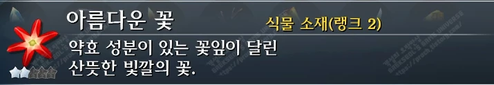 아름다운 꽃 설명
