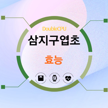 삼지구엽초 효능 탐구