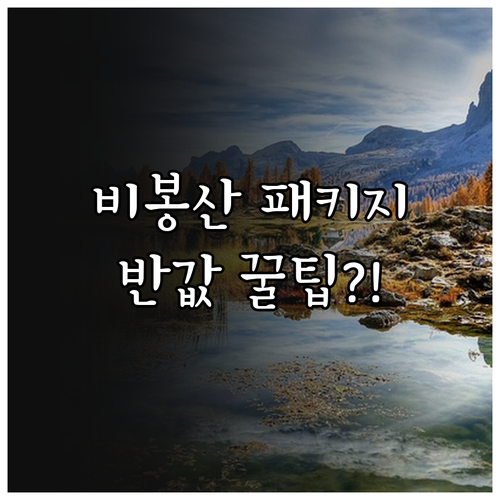 제천 비봉산 모노레일 케이블카 패키지..