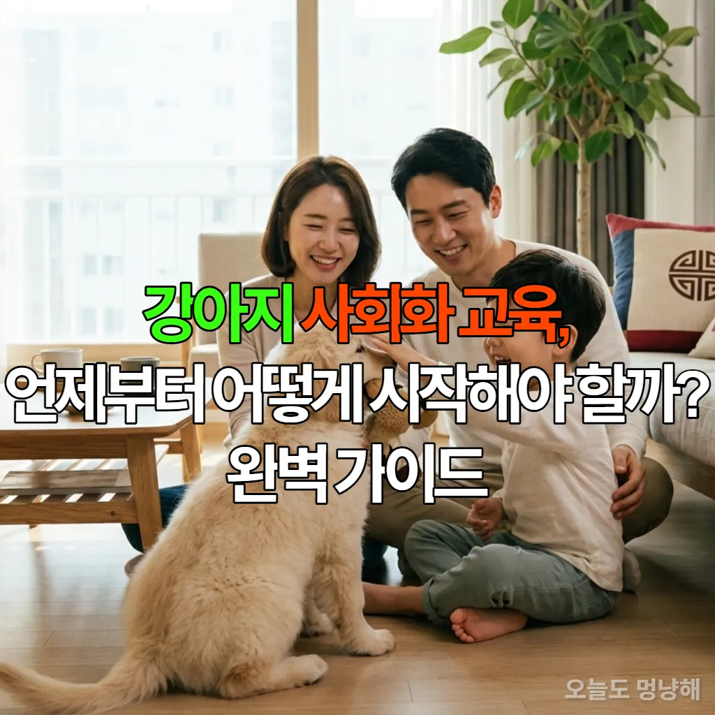 한국인 가족이 거실에서 강아지와 즐겁게 교감하는 모습