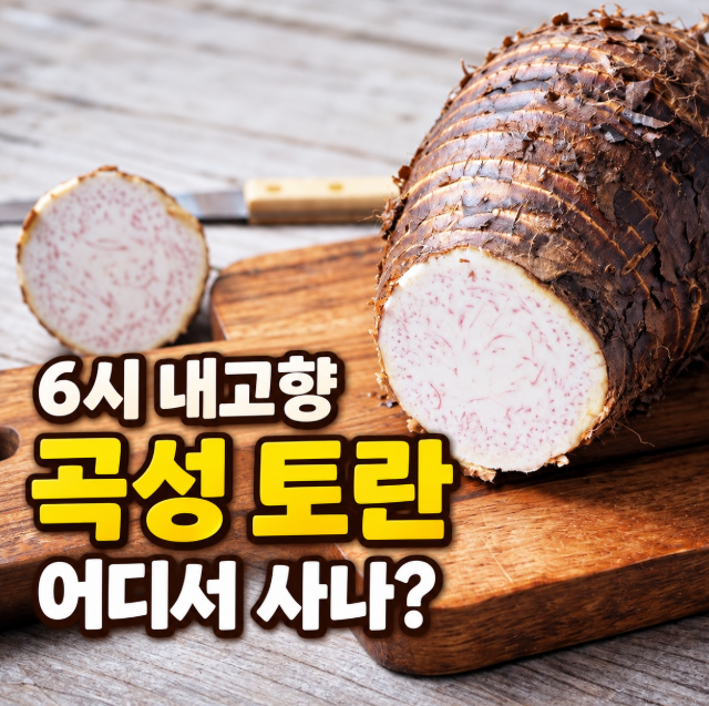 6시 내고향 곡성 토란 어디서 사나? 구매처&middot;가격&middot;깐토란&middot;손질법 정리