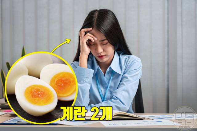 매일 계란 2개 효능,피로회복