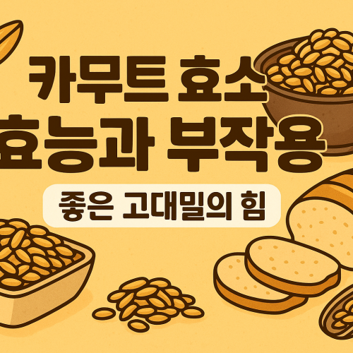 카무트효소 효능 썸네일