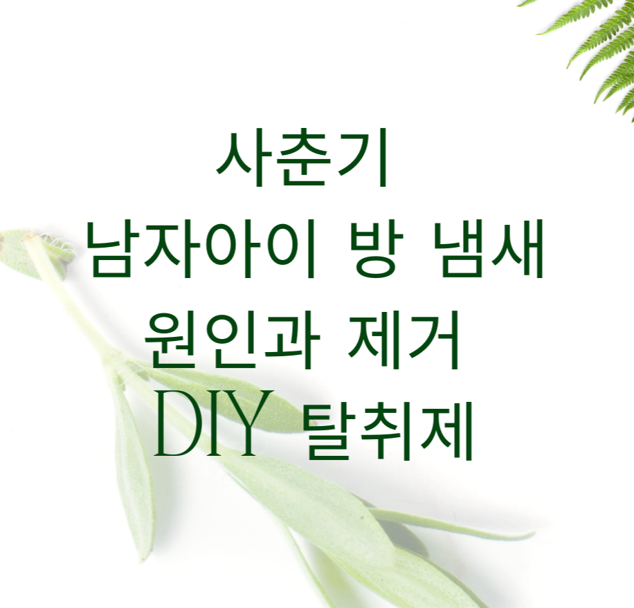 alt=&quot;사춘기 남자아이 방 냄새, 원인과 제거 &amp; DIY 탈취제&quot;