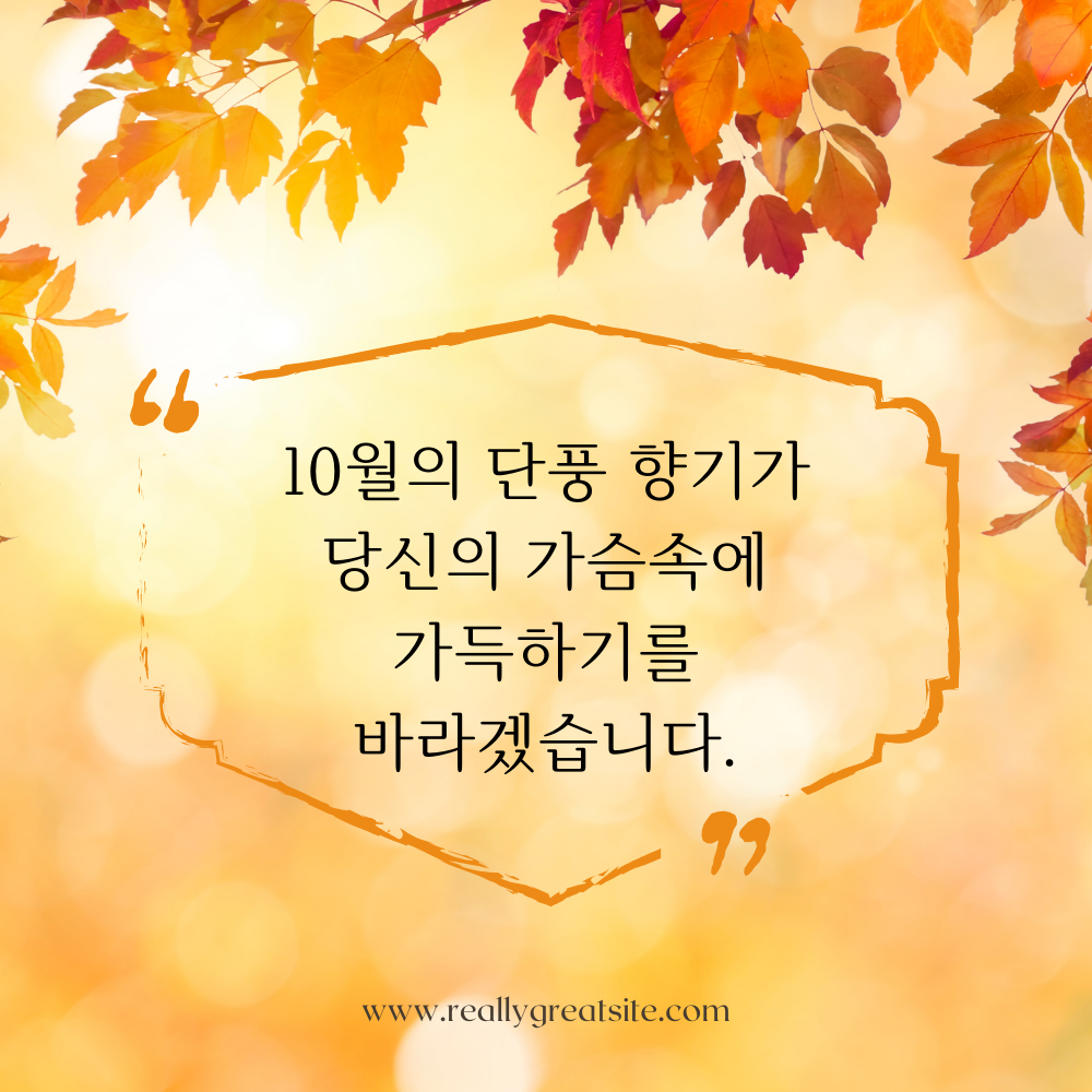 10월 가을 인사말 문구 이미지 모음 카톡 문자 안부 메세지