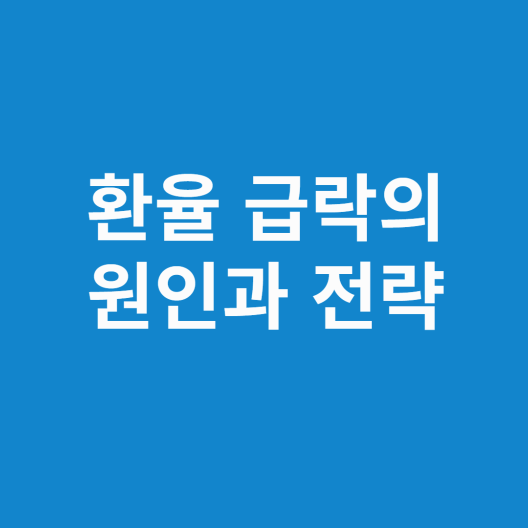 환율급락의 원인과 전략
