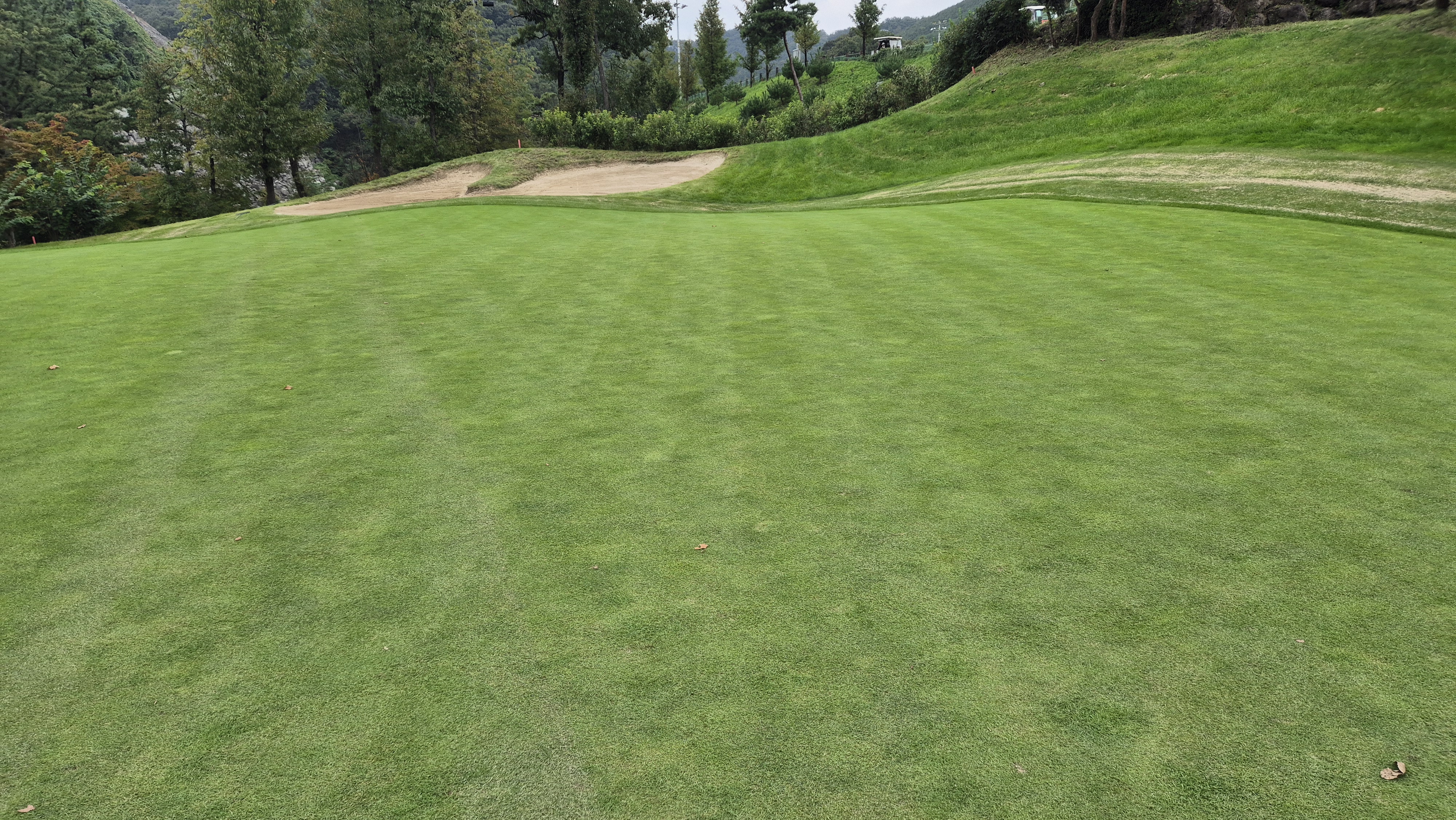 블랙스톤 벨포레cc 그린빠르기 및 난이도