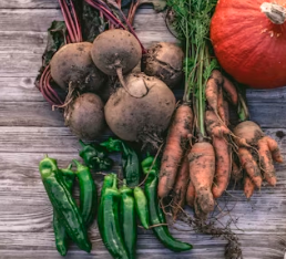 비트 효능 및 부작용 먹는 방법 칼로리 소변색