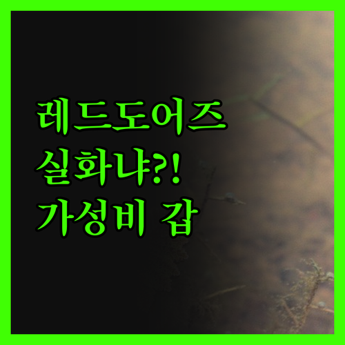 카이미토 레드도어즈 실화냐 가성비 갑