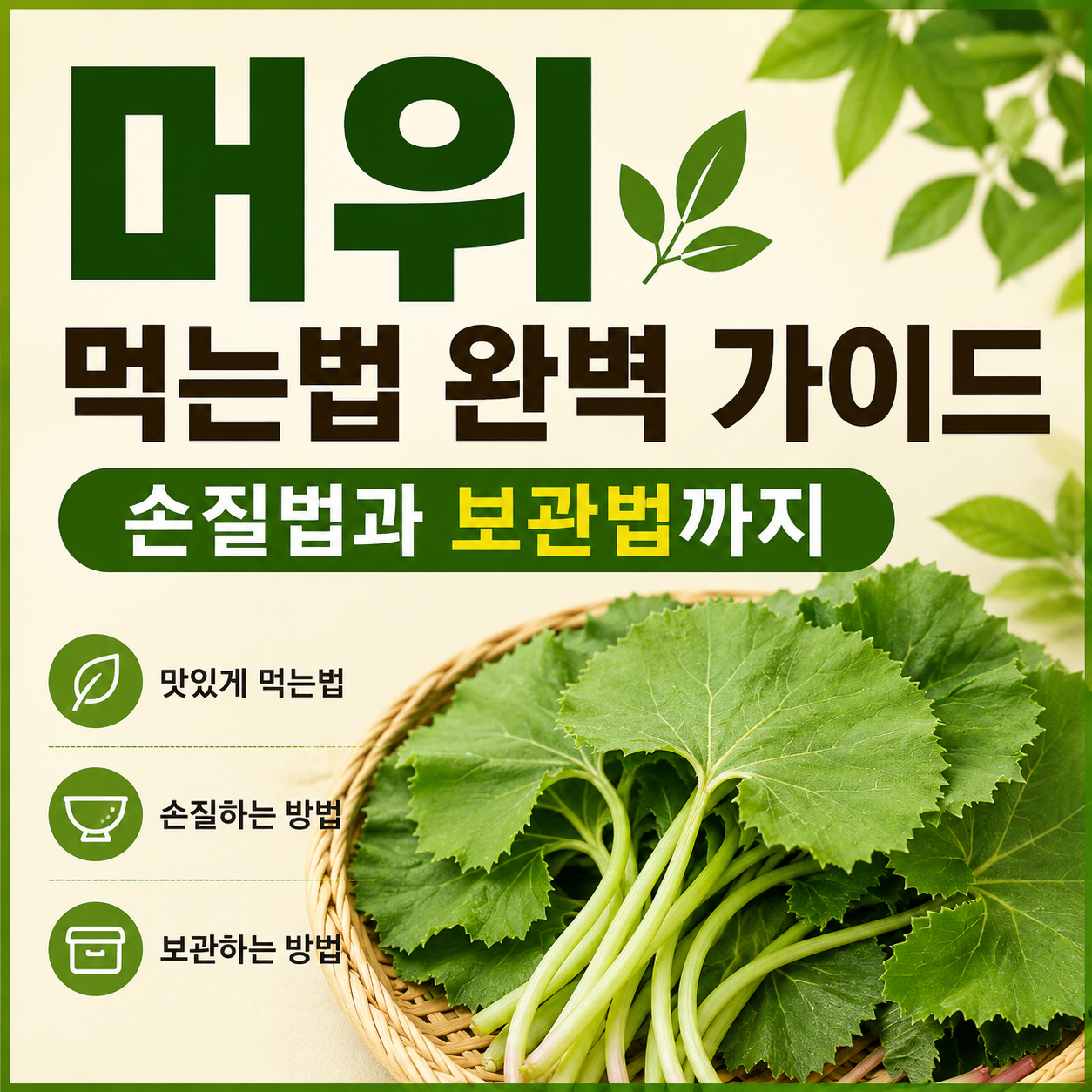 머위 먹는법