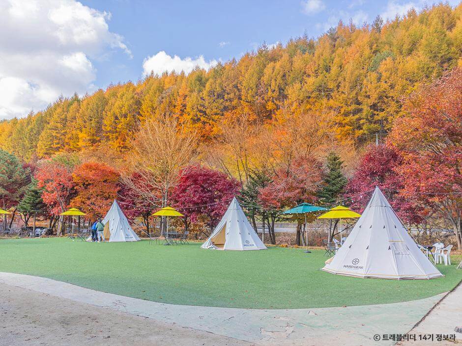 가을 여행지 강원도 단풍 구경 추천 장소