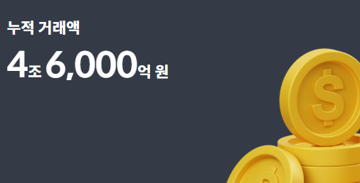 트래블월렛 카드