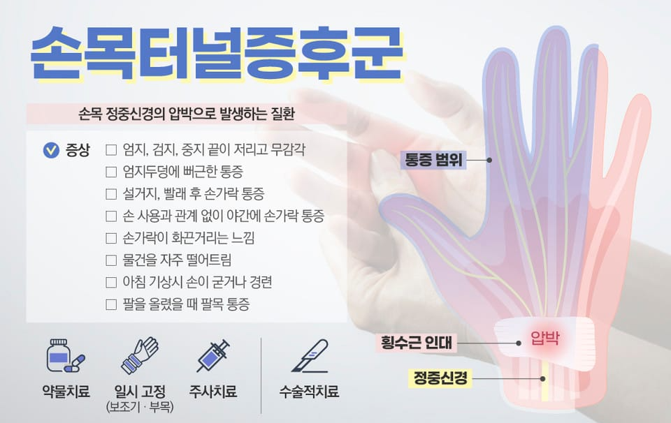 악력기 고르는법 전완근 손목 근육 설명 이미지