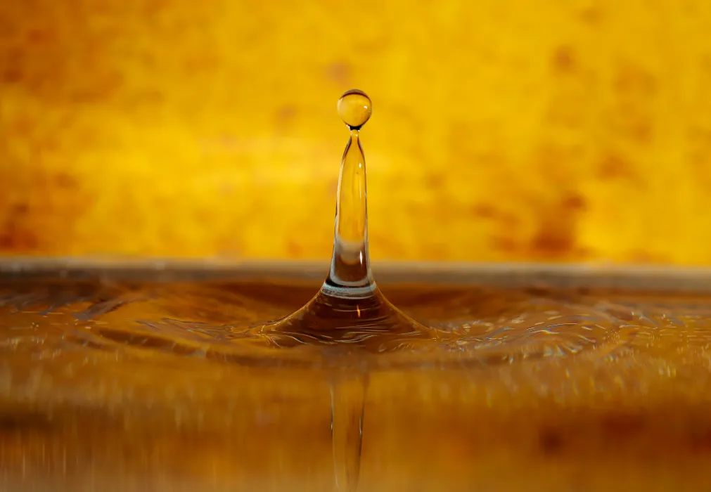 대마-종자유-사진