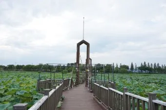 무안 가볼만한곳 베스트10 현지인 추천 필수코스_8