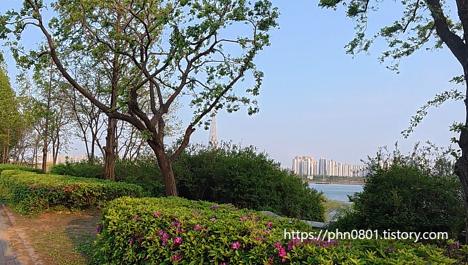 Alt 속성 문제 해결 설명 이미지