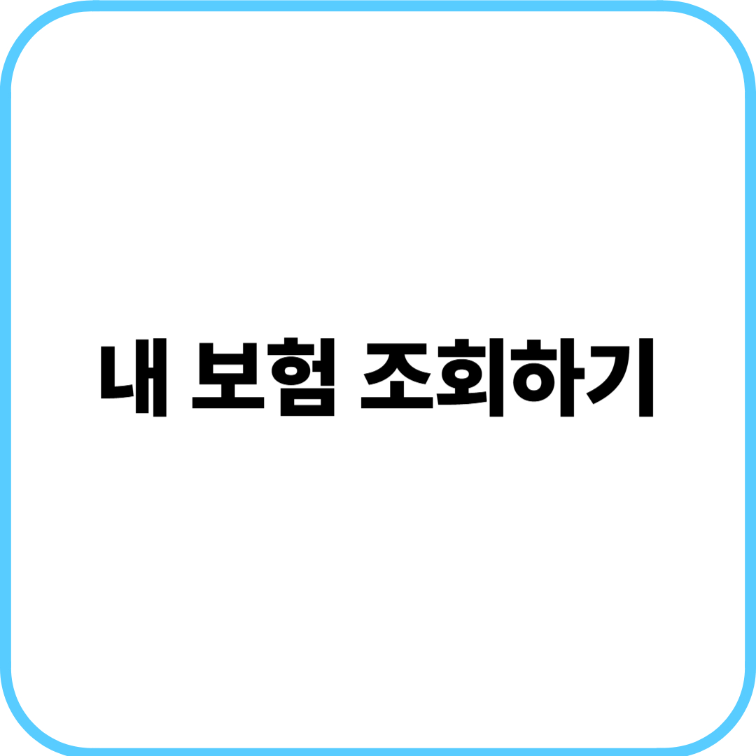 내 보험 조회하기