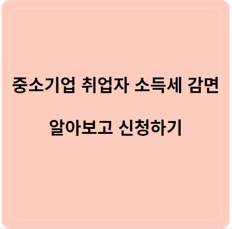 소득세감면