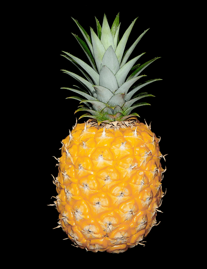 피를 맑게 해주는 음식 사진 - 파인애플