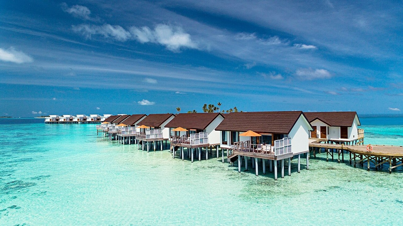 몰디브 허니문 패키지 추천 BEST4 숙소 비교 총정리