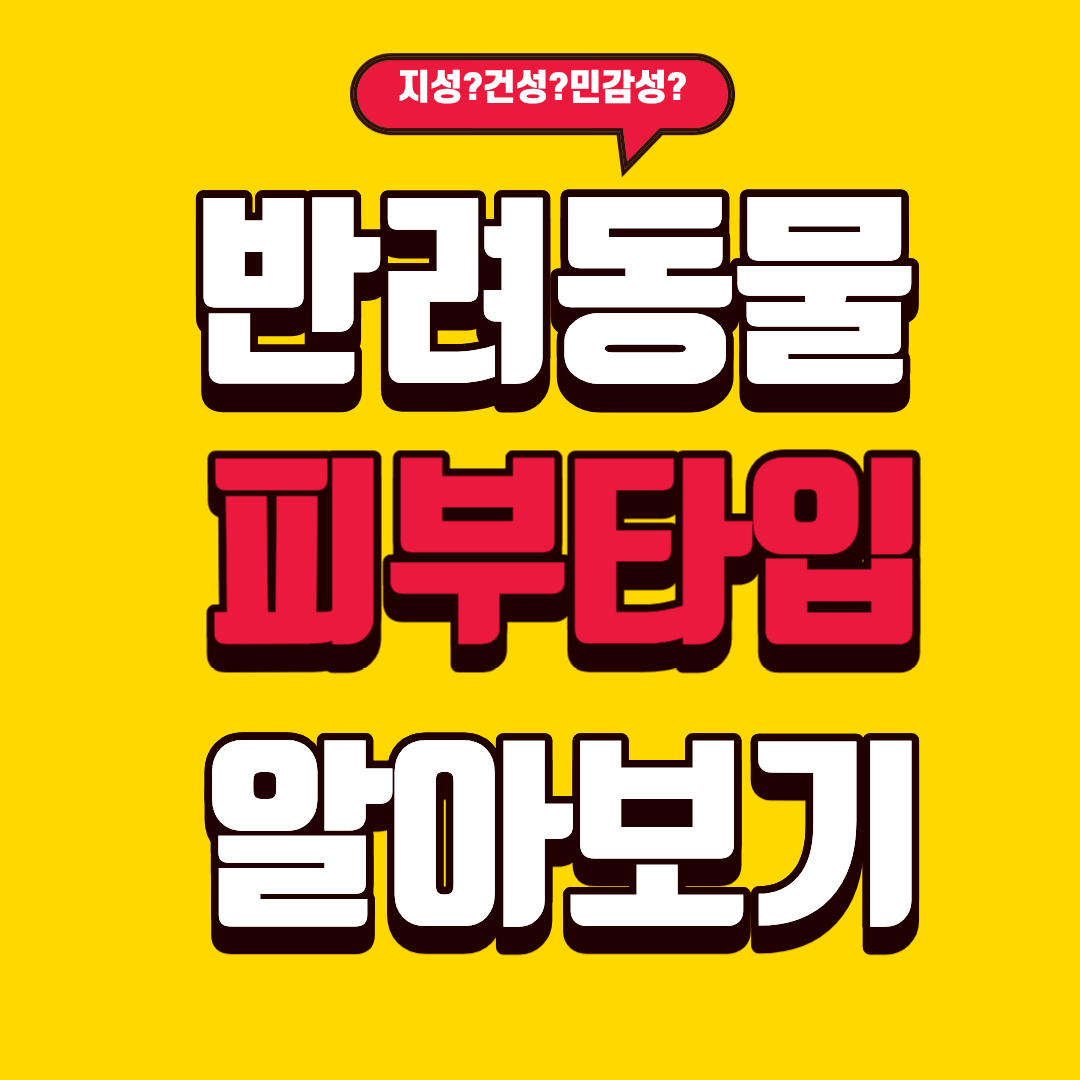 반려동물 피부 타입별 샴푸 선택법