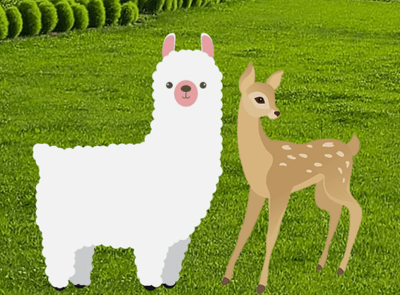 알파카와 꽃사슴