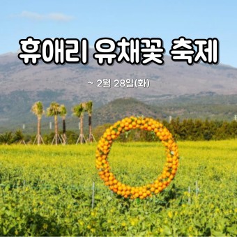 유체꽃 축제