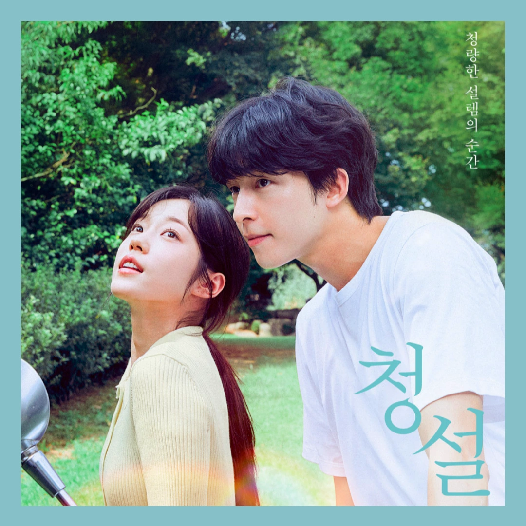 청설-1위-원작-리메이크-쿠키