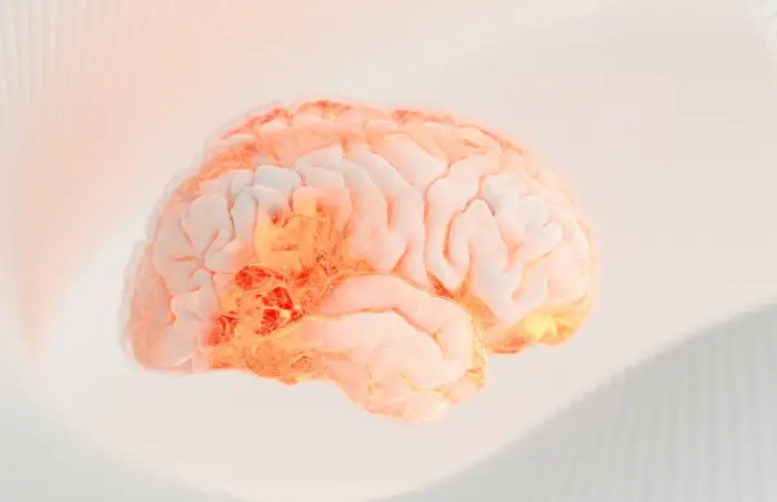 모야모야병 치료