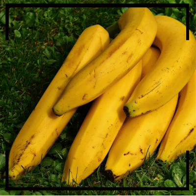 통풍에 좋은 음식