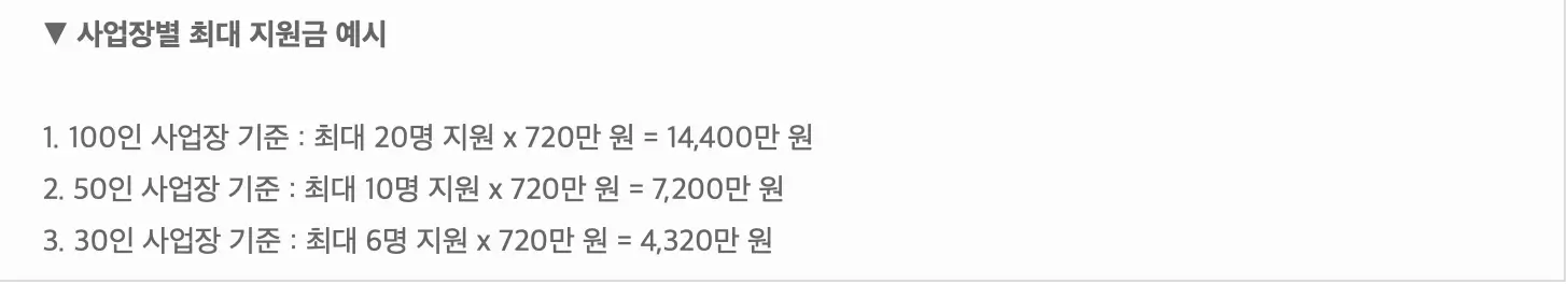 고령자-계속-고용-장려금-사업장-최대-지원금-예시