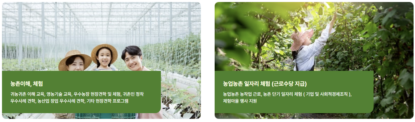 농촌이해, 일자리체험