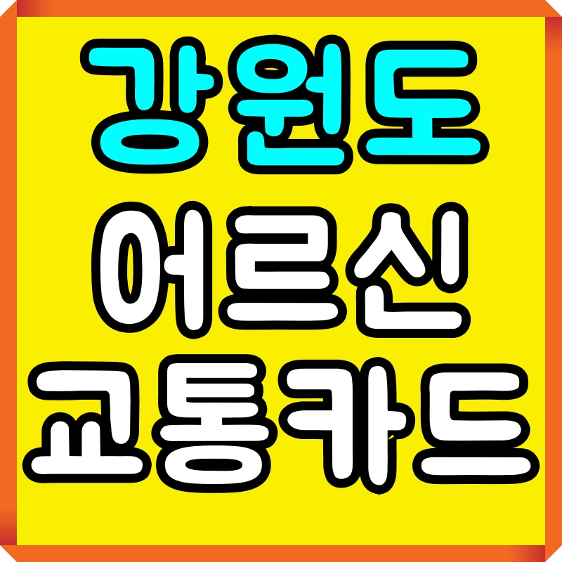 강원도어르신교통카드