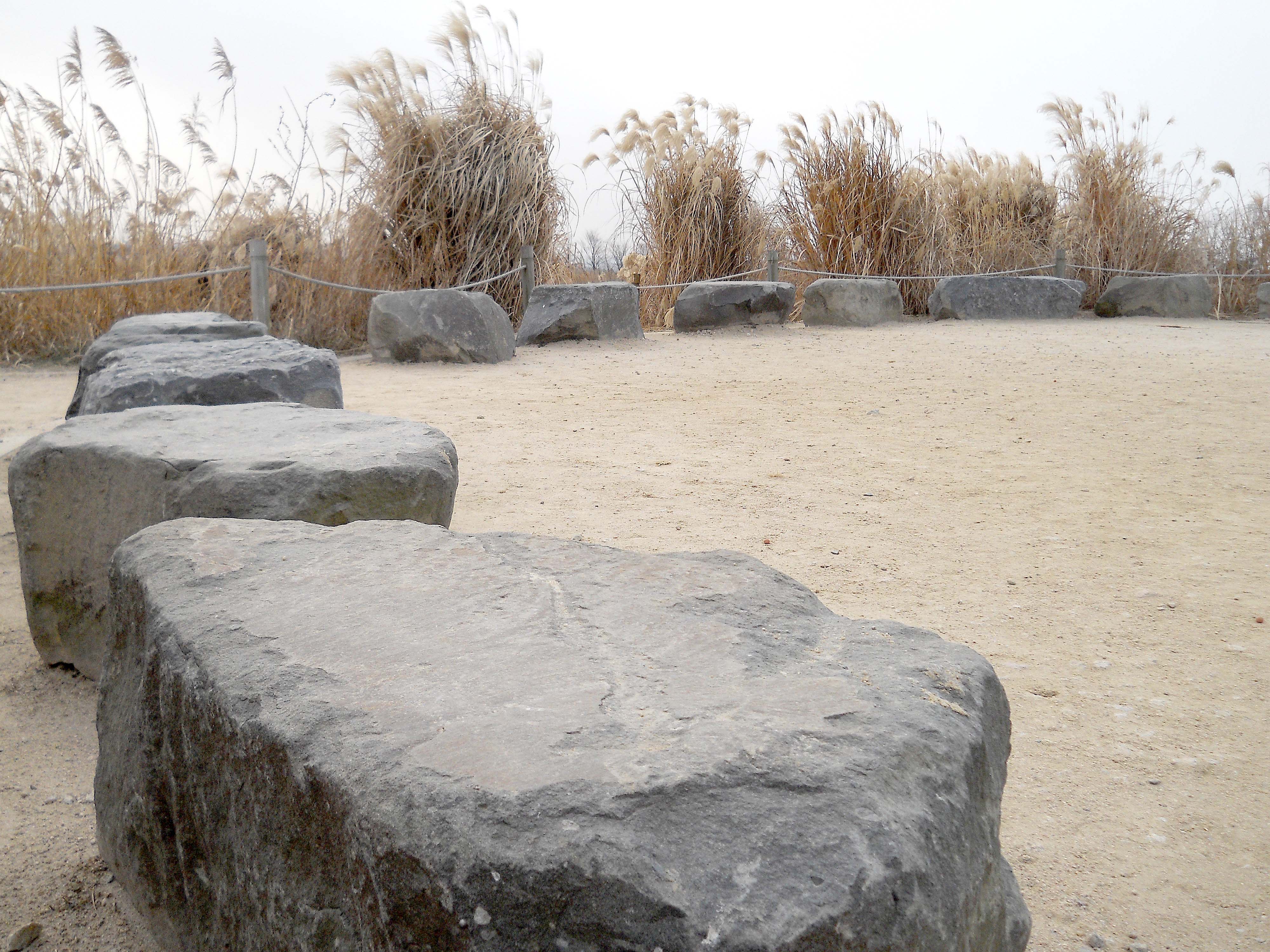 마포구 상암동 하늘공원(Haneul Park)