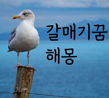 나무에-앉아있는-갈매기-썸네일