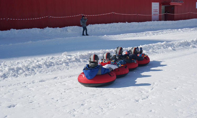 대관령 눈꽃축제