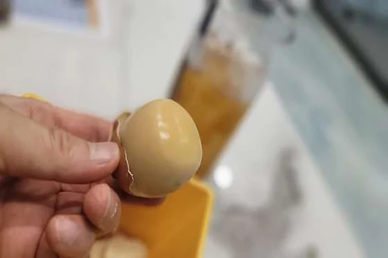 스카이골프존 동탄