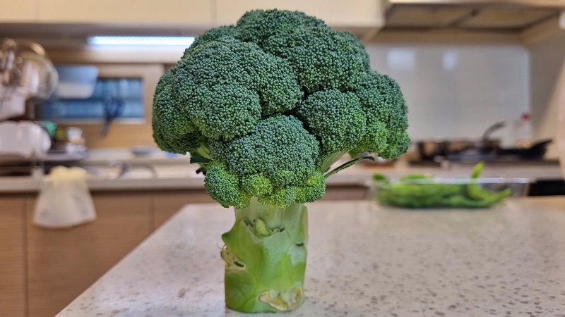 싱싱한 브로콜리