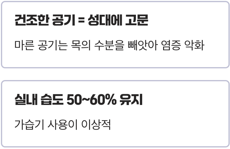 1. 최고의 명약, 촉촉한 공기