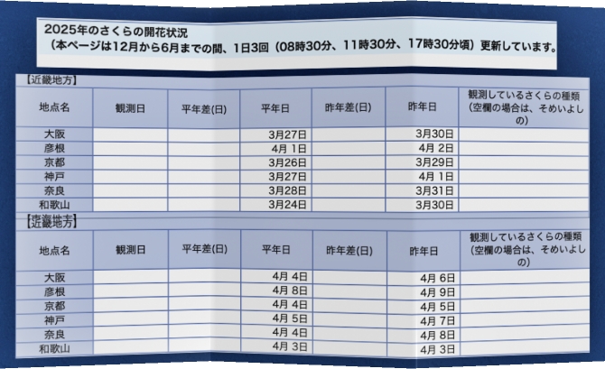 2025년 오사카 벚꽃 개화 시기